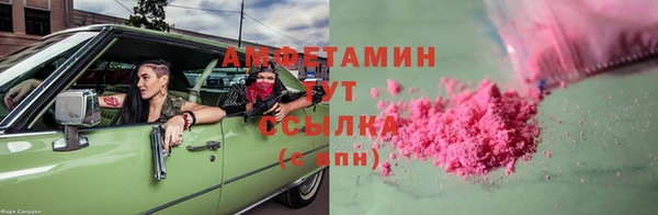 PSILOCYBIN Алзамай