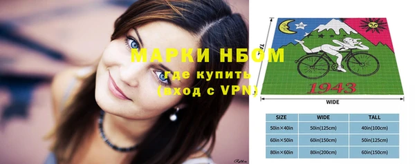 хмурый Алексин