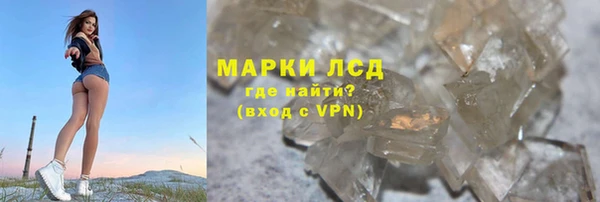 PSILOCYBIN Алзамай