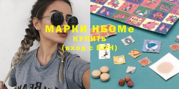 хмурый Алексин