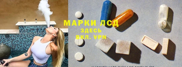 PSILOCYBIN Алзамай