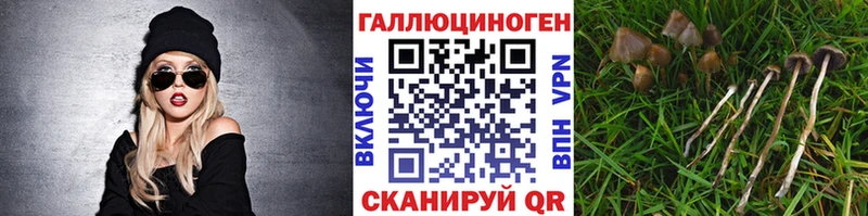 Галлюциногенные грибы MAGIC MUSHROOMS  дарнет шоп  Юрьев-Польский 